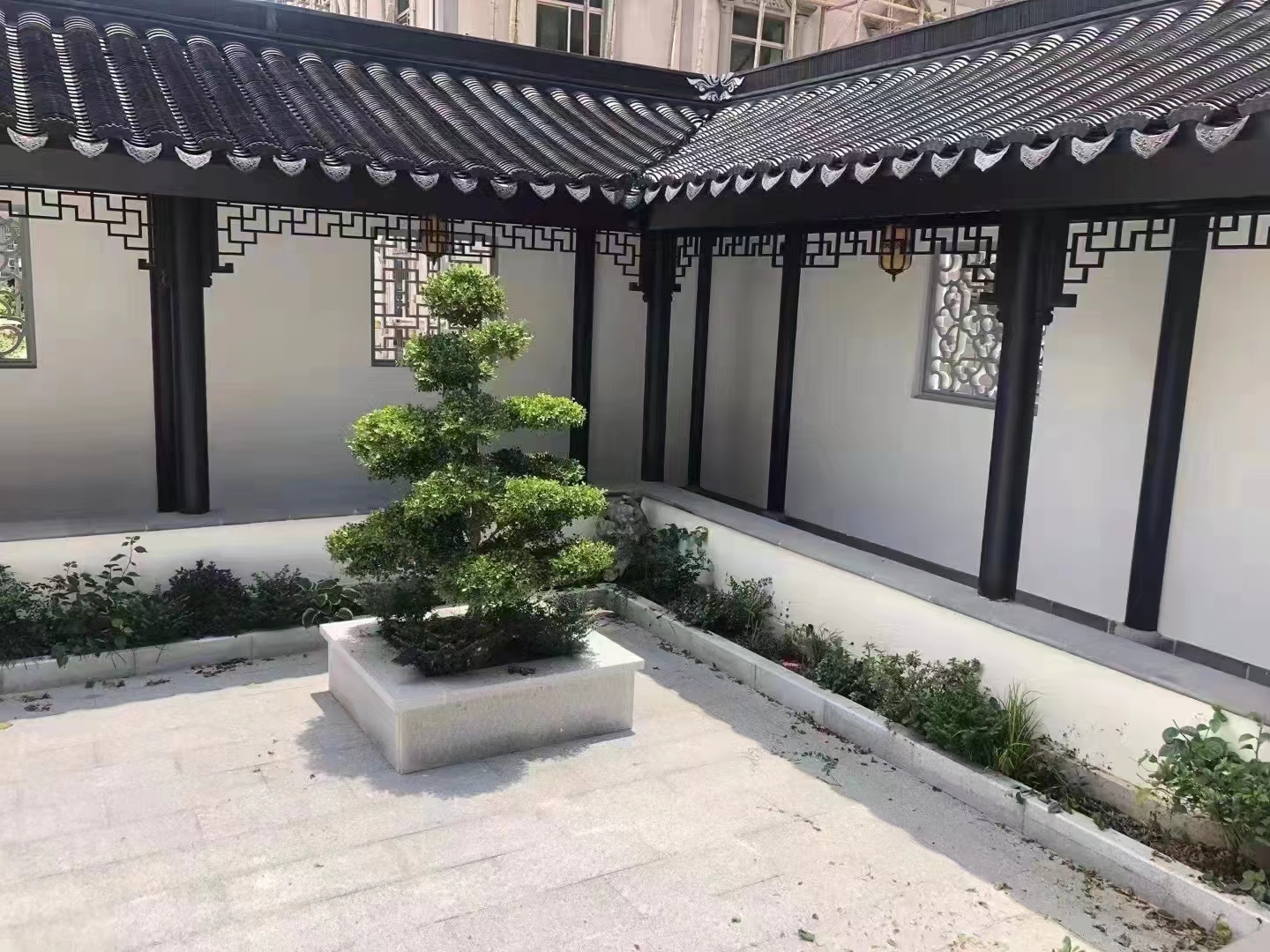 森力格案例